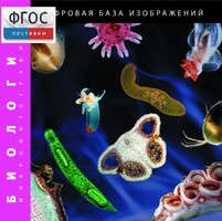 Биология. Микрофотографии. (Цифровая база изображений) - fgospostavki.ru - Уссурийск