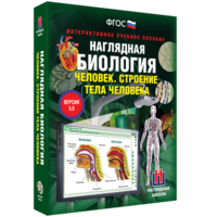 Наглядная биология. 8 - 9 классы. Человек. Строение тела человека - fgospostavki.ru - Уссурийск