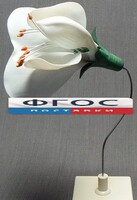 Модель "Цветок гороха" - fgospostavki.ru - Уссурийск