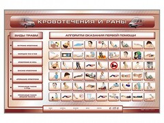Трехсекционный базовый комплект "Травмы. Кровотечения. Ожоги" для учащихся общеобразовательных учреждений - fgospostavki.ru - Уссурийск