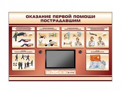 Многофункциональный интерактивный стенд-тренажер "Оказание первой помощи пострадавшим" для учащихся общеобразовательных учреждений - fgospostavki.ru - Уссурийск