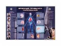 Электрифицированный стенд "Вредные привычки: наркомания" - fgospostavki.ru - Уссурийск