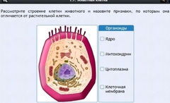 Интерактивные курсы. Биология 8 класс. Базовый - fgospostavki.ru - Уссурийск