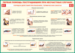 Таблица "Порядок действий при ранениях и термических ожогах" (100х140 сантиметров, винил) - fgospostavki.ru - Уссурийск