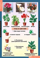 Комплект таблиц. Окружающий мир 1 класс. - fgospostavki.ru - Уссурийск