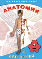 DVD "Анатомия для детей" - fgospostavki.ru - Уссурийск
