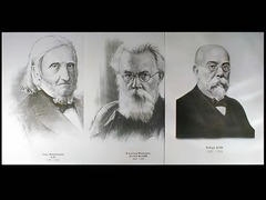 Портреты биологов (26 штук, формат А3) - fgospostavki.ru - Уссурийск