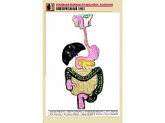 Рельефная таблица "Пищеварительный тракт" (формат А1, матовое ламинирование) - fgospostavki.ru - Уссурийск