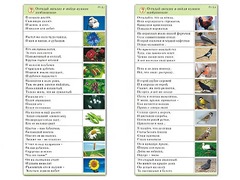 Комплект карточек (10) "Обучающий калейдоскоп. Природа" - fgospostavki.ru - Уссурийск