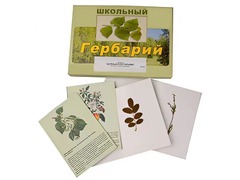 Гербарий "Деревья и кустарники" (22 вида, с иллюстрациями) - fgospostavki.ru - Уссурийск