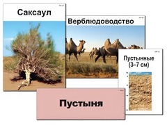 Модель-аппликация "Природные зоны России" (ламинированная) - fgospostavki.ru - Уссурийск