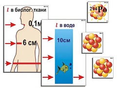 Модель-аппликация "Явление радиоактивности" (ламинированная) - fgospostavki.ru - Уссурийск