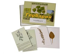 Гербарий "Лекарственные растения" (22 вида с иллюстрациями) - fgospostavki.ru - Уссурийск