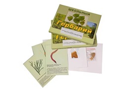 Гербарий "Основные группы растений. Грибы. Лишайники" (53 листа, с иллюстрациями и фотографиями) - fgospostavki.ru - Уссурийск