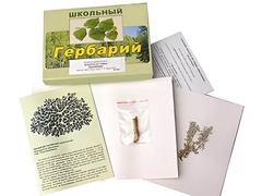 Гербарий "Водоросли. Грибы. Лишайники" (раздаточный) - fgospostavki.ru - Уссурийск