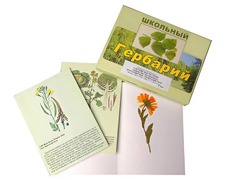 Гербарий "Систематика растений. Семейство Пасленовые. Крестоцветные. Сложноцветные" (раздаточный) - fgospostavki.ru - Уссурийск