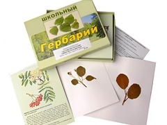 Гербарий "Систематика растений. Семейство Розоцветные" (раздаточный) - fgospostavki.ru - Уссурийск