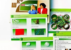 Коллекция "Шелк и продукты его переработки" (средняя школа) - fgospostavki.ru - Уссурийск
