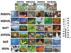 Фенологические наблюдения - fgospostavki.ru - Уссурийск