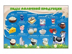 Электрифицированный стенд "Виды молочной продукции" - fgospostavki.ru - Уссурийск