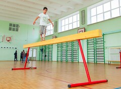 Бревно гимнастическое напольное постоянной высоты (700 мм) (5 м) - fgospostavki.ru - Уссурийск