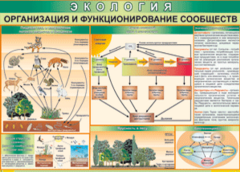 Таблица "Организация и функционирование сообществ" (100х140 сантиметров, винил) - fgospostavki.ru - Уссурийск