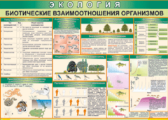 Таблица "Биотические взаимоотношения организмов" (100х140 сантиметров, винил) - fgospostavki.ru - Уссурийск