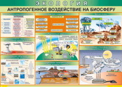 Таблица "Антропогенное воздействие на биосферу" (100х140 сантиметров, винил) - fgospostavki.ru - Уссурийск