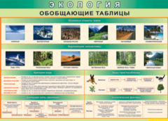 Таблица "Экология. Обобщающие таблицы" (100х140 сантиметров, винил) - fgospostavki.ru - Уссурийск