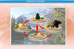 Интерактивные курсы. Биология 7 класс. Базовый. - fgospostavki.ru - Уссурийск