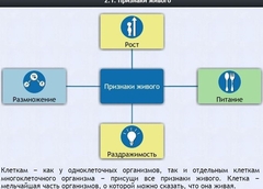 Интерактивные курсы. Биология 5 класс. Базовый - fgospostavki.ru - Уссурийск