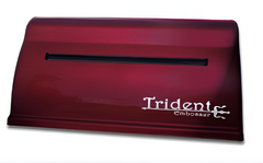 Принтер для печати рельефно-точечным шрифтом Брайля Trident - fgospostavki.ru - Уссурийск