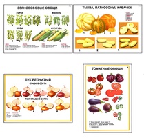 Плакаты ПРОФТЕХ "Ассортимент овощных культур" (12 пл, винил, 70х100) - fgospostavki.ru - Уссурийск