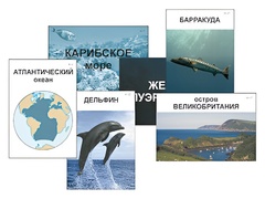 Модель-аппликация "Океаны. Знакомство" (ламинированная) - fgospostavki.ru - Уссурийск