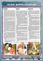 Стенд "Белки. Жиры. Углеводы" - fgospostavki.ru - Уссурийск