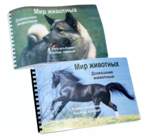 Пособие для слабовидящих - Домашние животные - fgospostavki.ru - Уссурийск