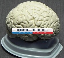 Модель "Мозг в разрезе" (белый) - fgospostavki.ru - Уссурийск