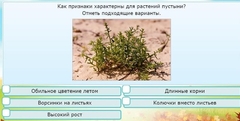 Интерактивные курсы. Окружающий мир 3 класс . Базовый. - fgospostavki.ru - Уссурийск