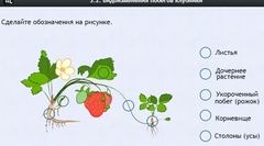 Интерактивные курсы. Биология 7 класс. Расширенный. - fgospostavki.ru - Уссурийск
