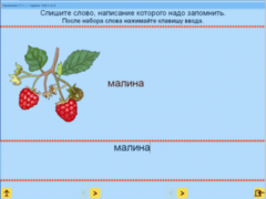 Русский язык. 1 класс. (Учебно-методический комплект) - fgospostavki.ru - Уссурийск