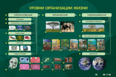 Электрифицированный стенд "Уровни организации жизни" - fgospostavki.ru - Уссурийск
