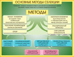 Стенд "Методы селекции и биотехнологии" - fgospostavki.ru - Уссурийск