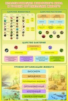 Стенд "Классификация животного мира" - fgospostavki.ru - Уссурийск