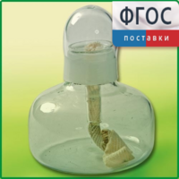 Спиртовка демонстрационная - fgospostavki.ru - Уссурийск