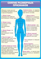 Стенд "Снятие мерок" Вариант 2 - fgospostavki.ru - Уссурийск