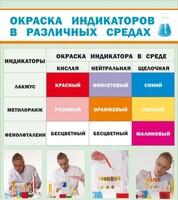 Стенд "Окраска индикаторов в различных средах" - fgospostavki.ru - Уссурийск