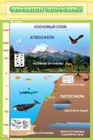 Стенд "Строение биосферы" - fgospostavki.ru - Уссурийск
