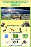 Стенд "Уровни организации живого" - fgospostavki.ru - Уссурийск