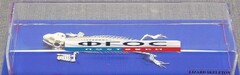 Скелет ящерицы - fgospostavki.ru - Уссурийск