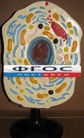 Модель "Клетка животного" - fgospostavki.ru - Уссурийск